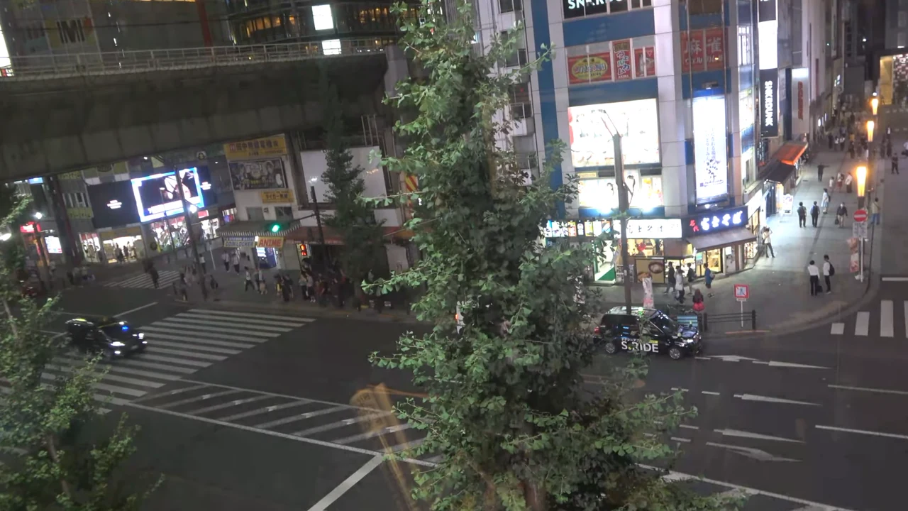 Akihabara Central Street live stream preview, Akihabara, Japan